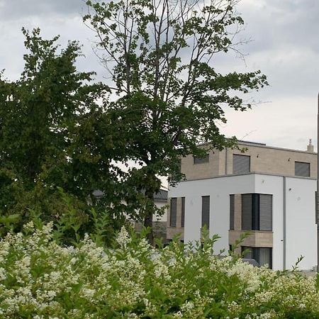 Mosaikhaus Smart Home Wurselen Luaran gambar